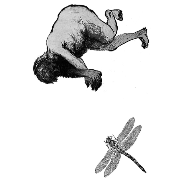 tom to ground control 2